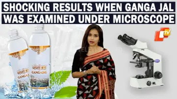 Unbelievable! Ganga Jal Examined Under A Microscope Reveals Surprising Findings