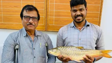 Central University first records 2 Mahseer fish species from southern Odisha