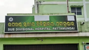 Over 25 injured in bee attack during Science Fair in Odisha school