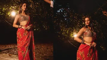 Triptii Dimri in pink saree is the woman of every man’s dream, straight from heaven