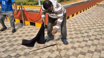 Cobra rescued from Bhubaneswar Judicial Complex ahead of inauguration by President Droupadi Murmu