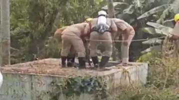 Mishap during BPCL gas pipeline repair work 