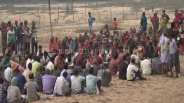 Villagers up in arms against JSW's tree cutting in Odisha's Jagatsinghpur, demand compensation 
