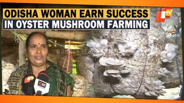From Housewife To Entrepreneur: Odisha Woman Achieves Success With Oyster Mushroom Farming