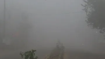 Cold wave in Odisha likely to subside, IMD issues dense fog alert