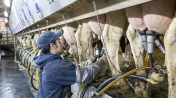 Flu virus can remain infectious in refrigerated raw milk for 5 days: Study