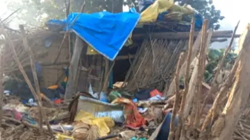 Elephant tramples two girls to death after dragging them out of house in Odisha