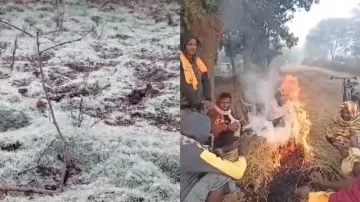Odisha cold wave: IMD issues yellow warning as several districts continue to freeze