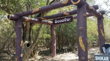 Bhitarakanika National Park