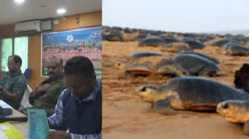 Saving Olive Ridley turtles: Odisha forest dept hosts training workshop in Puri