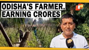 Millionaire Farmer From Odisha’s Nuapada Providing Jobs To 100 Families