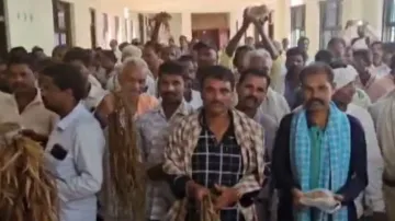 Unseasonal rainfall in Odisha: Farmers protest over crop damage 