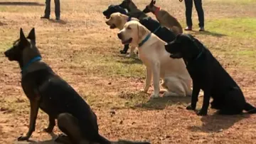 Odisha Fire Services department first state in country to include special K9 squad
