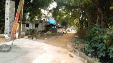 No New Year celebrations in this Odisha village for 38 years! Know what happened