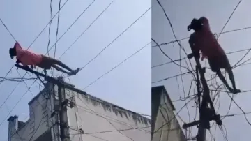Man dozes off on live wires on electric pole in inebriated condition, watch