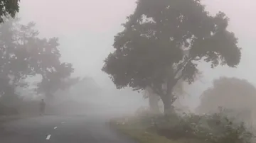 Intense cold to further intensify in Odisha, sharp dip in mercury in next two days: IMD