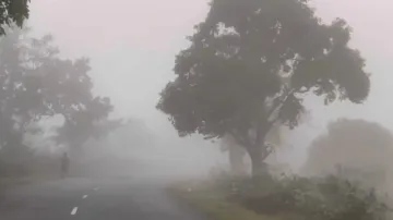 No respite from persisting cold in the next 24 hours, chilly weather to continue
