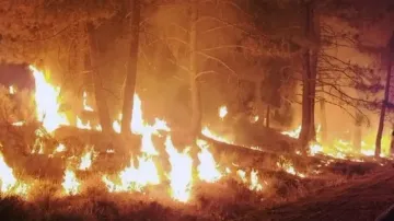 Tragic toll: At Least 11 confirmed dead as wildfires ravage Los Angeles