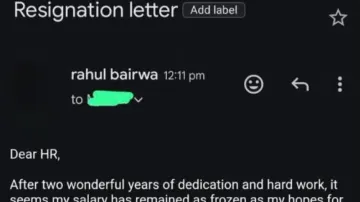‘Salary as frozen as my dreams’: Delhi man’s hilarious resignation letter goes viral