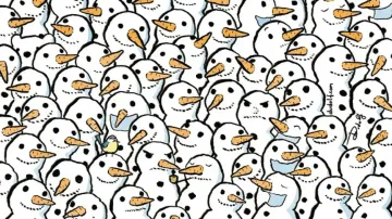 Only sharp-eyed people can spot the POLAR BEAR in this optical illusion in 8 secs!