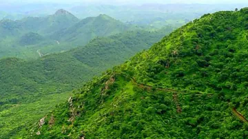 Why Odisha MP is seeking protection for Gandhamardan Hills, writes to Amit Shah