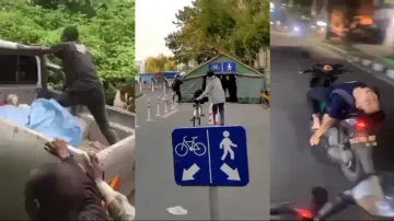 Smartest men alive on the earth! Funny viral videos will leave you ROFL, watch