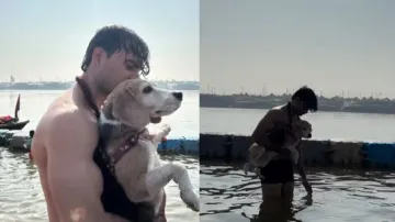 Man takes holy dip at the Maha Kumbh with his pet dog, adorable video goes viral