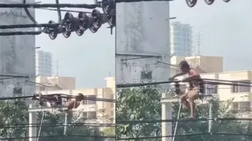 Fitness freak! Man spotted doing workout on live wires, watch
