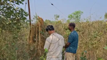Tusker dies of suspected electrocution in Odisha’s Athagarh, locals allege Forest dept negligence