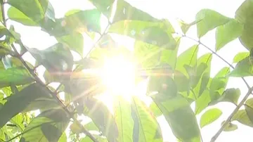 Odisha heatwave: Temperature to rise again by 3 to 5 degrees Celsius, predicts IMD