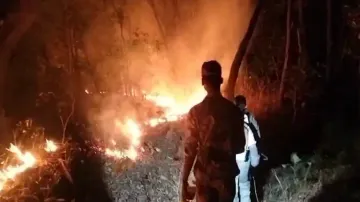 Forest fires ravage Odisha, unchecked flames destroy homes and wildlife