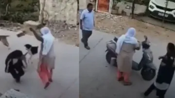 Animal lovers attack woman after she saves college girl from pack of stray dogs