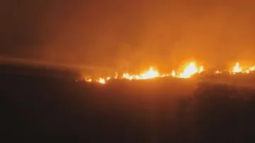 Wildfires sweep across Odisha forests, 747 regions burning today