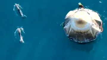  Dolphins greet astronauts as they return home after extended space mission