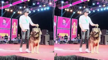 Bengaluru man spends Rs 500000000 to buy world’s most expensive ‘wolfdog’; know why so expensive