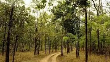 Chhattisgarh