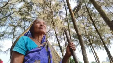 Odisha woman turns barren coastal land into green belt of over 50,000 trees; saves multiple villages