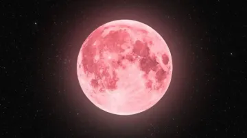 Pink Moon 2025: What it is, how rare, and when to watch it in Odisha