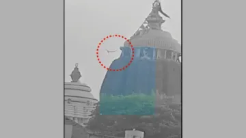 Eagle spotted flying with a piece of 'flag' near Puri Srimandir