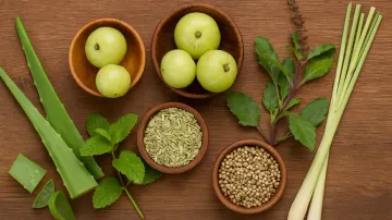 7 Cooling Herbs to Beat the Summer Heat Naturally