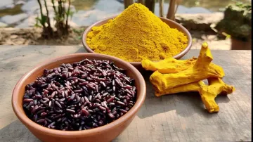 Focus on GI products like Koraput Coffee, Kalajeera Rice, Kandhamal Haldi and more from Odisha 