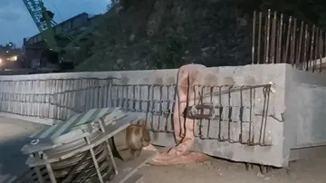 Mishap during bridge construction work in Cuttack: 3 killed, 2 critical