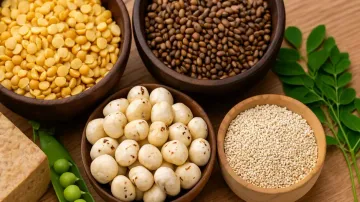 Indian vegan protein sources