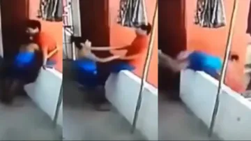 Falling in Love Lovebirds slip off from balcony watch