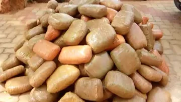 2 quintals ganja seized in Khordha