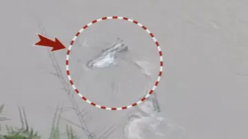 1 dead, 8 missing as tourist vehicle plunges into Teesta river in Sikkim; BJP leader among victims f