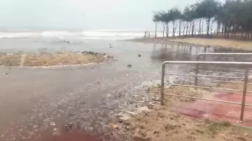 Raging sea breaches coastline near Siali in Jagatsinghpur, sparks panic 