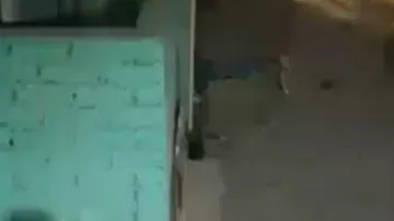 16 years old girl brutally stabbed over 20 times