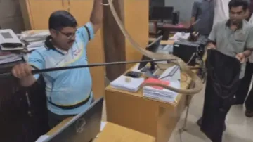 Watch 6-foot-long snake rescued from Lok Seva Bhawan in Bhubaneswar