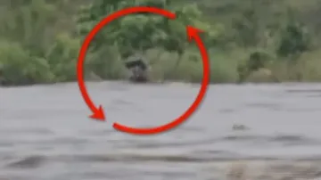 Youth stranded in swollen Subarnarekha river, another rescued from Ib river in Odisha